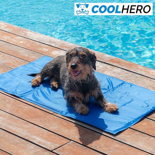 COOLHERO™ DZESĒJOŠAIS PAMATS SUŅIEM