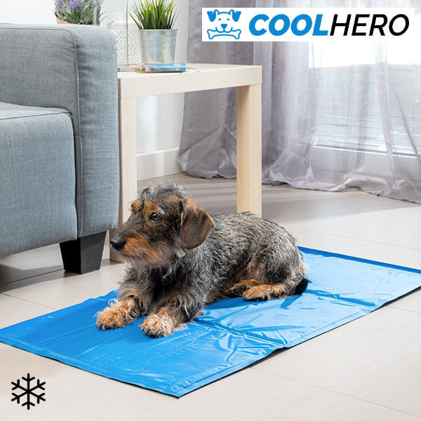 COOLHERO™ DZESĒJOŠAIS PAMATS SUŅIEM