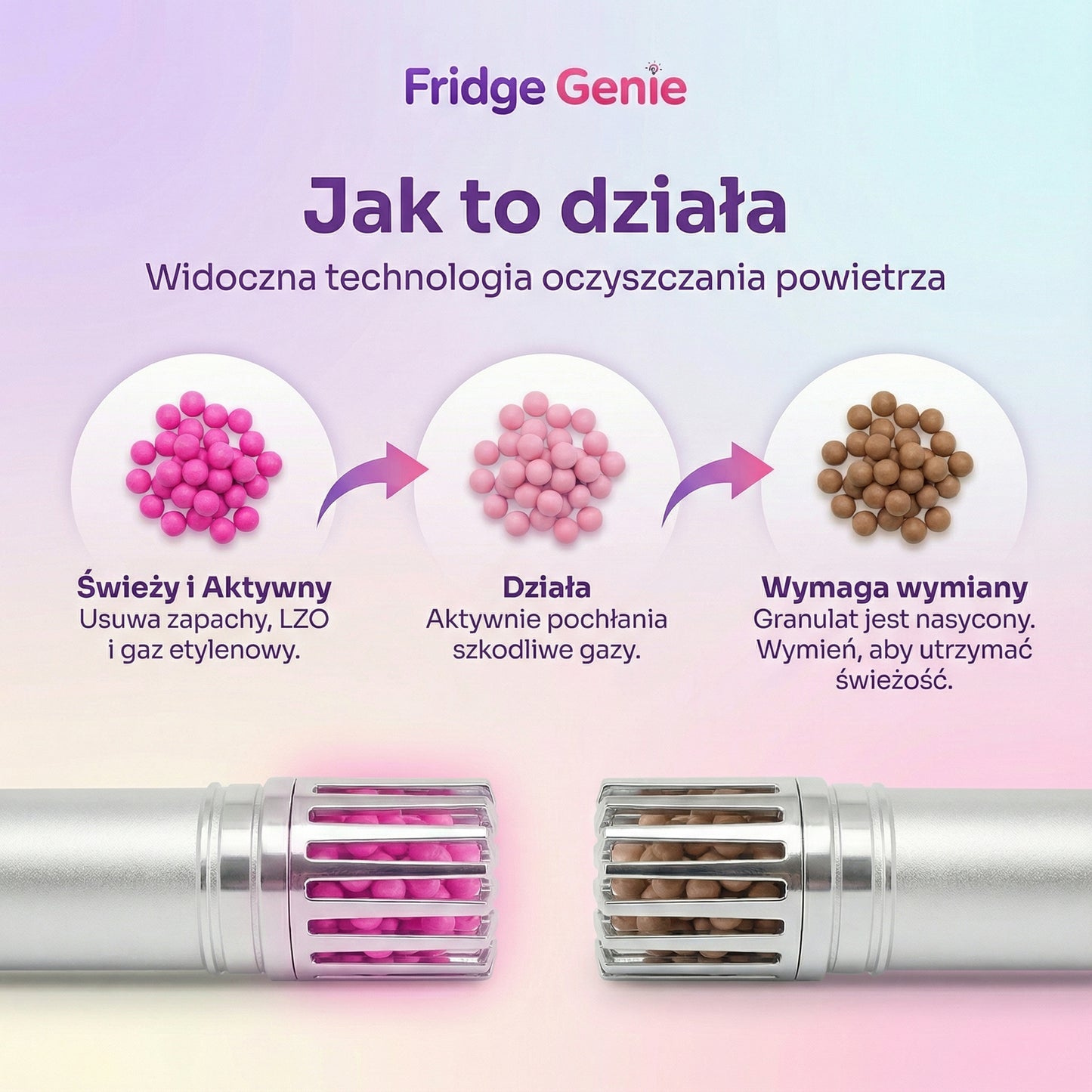 Fridge Genie