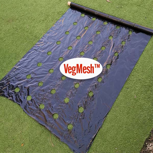 VEGMESH™ – STĀDĀMĀ PLĒVE