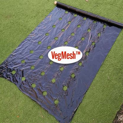 VEGMESH™ – STĀDĀMĀ PLĒVE